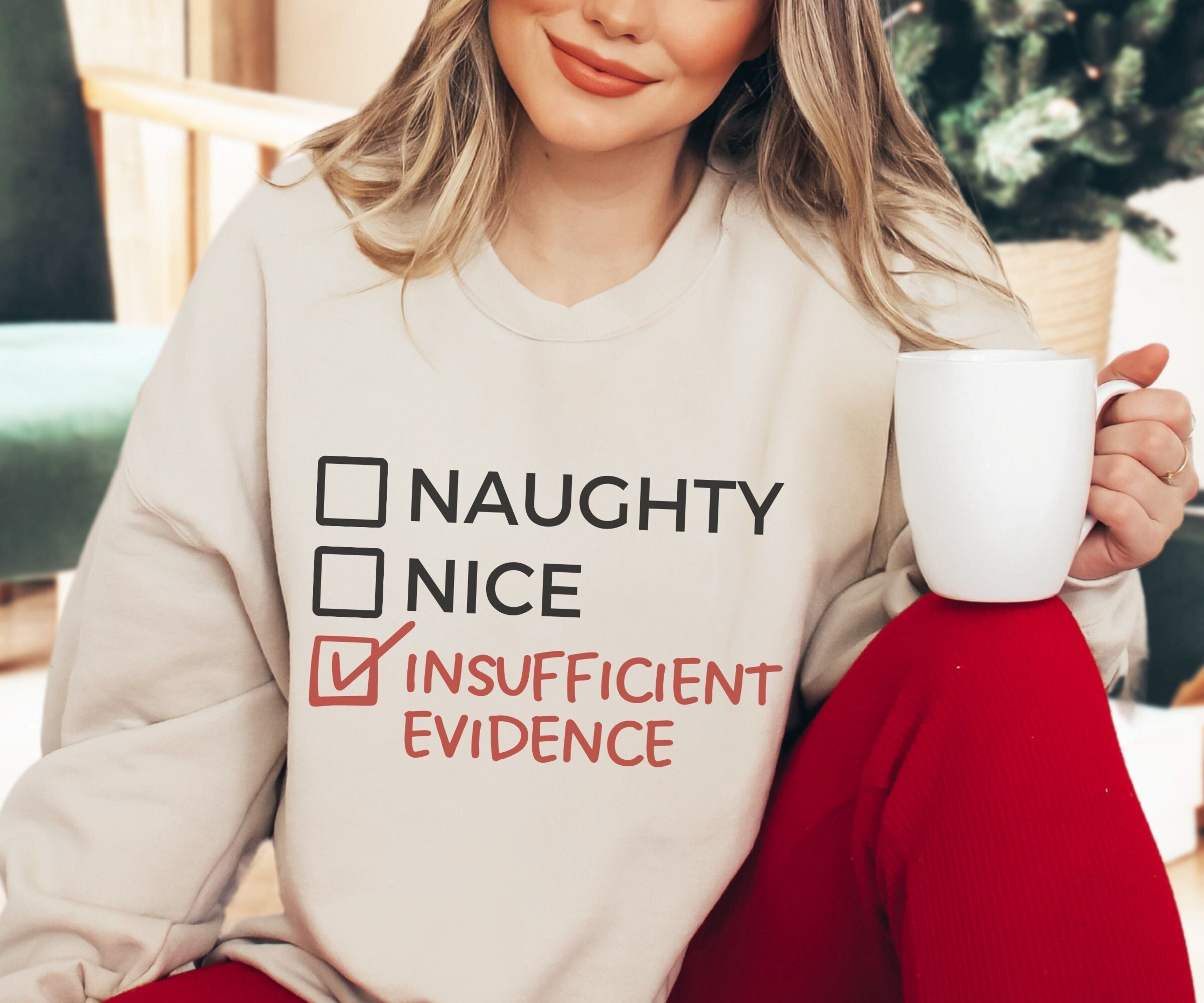 Naughty Nice Insufficient Evidence, Funny Christmas Sweatshirt, Ugly Christmas Sweater, Christmas Gift for Her, Funny Xmas Gift for Friend