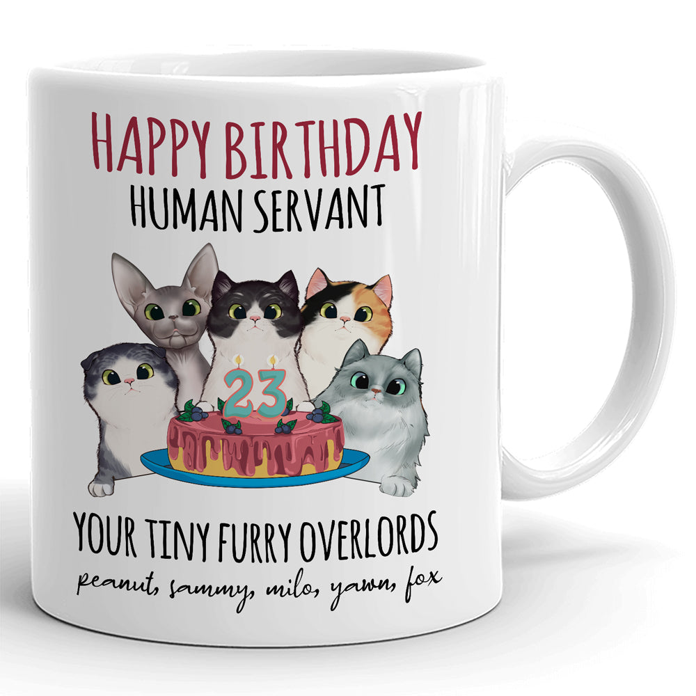 Cat Lovers Happy Birthday Cat Dad Cat Mom Cute Personalized Mug