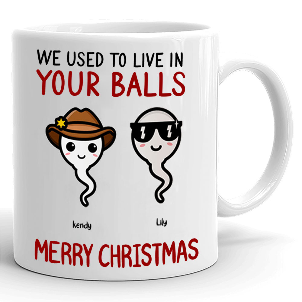 We Used To Live In Your Balls Christmas Personalized Mug Gift For Dad