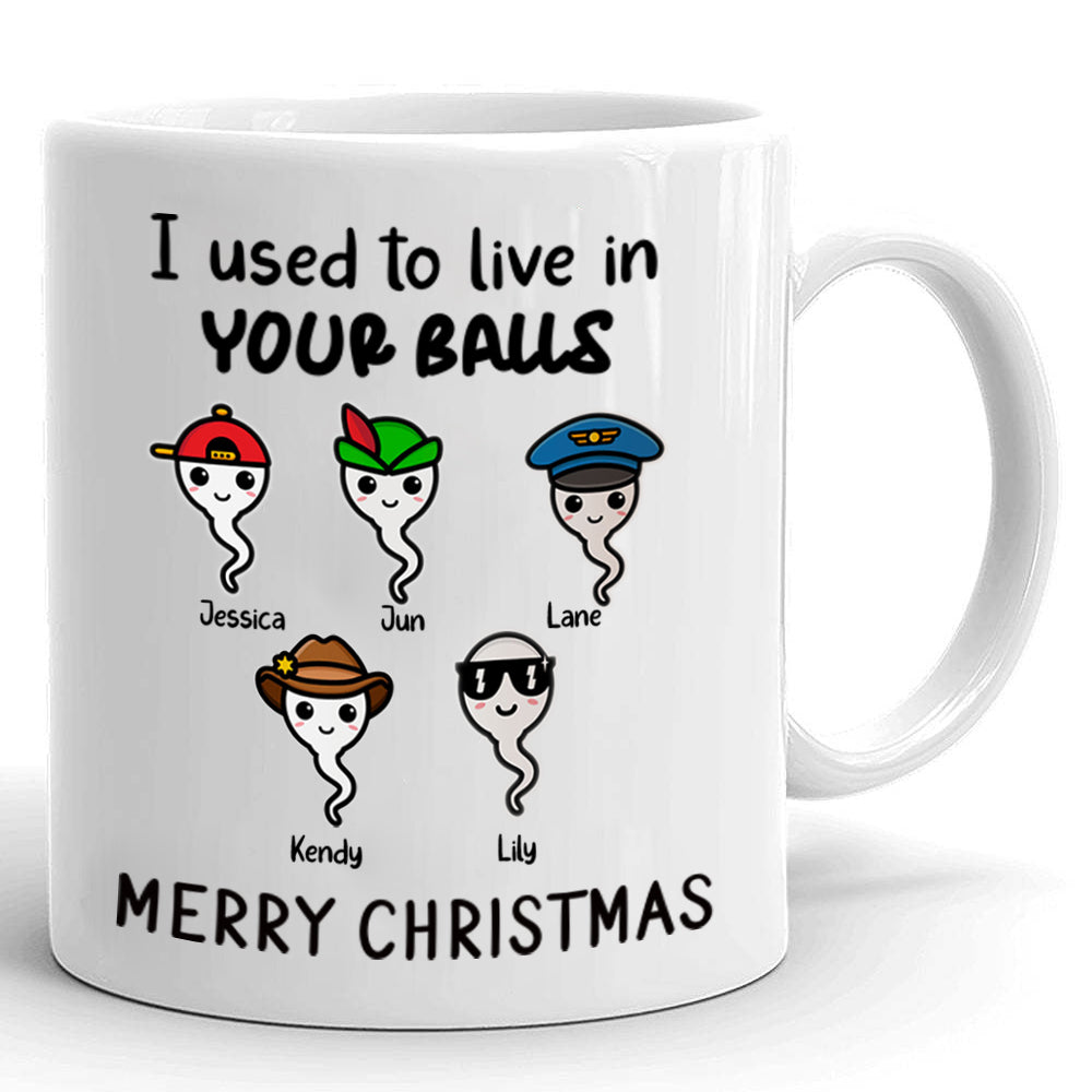 We Used To Live In Your Balls Christmas Mug Personalized Gift For Dad