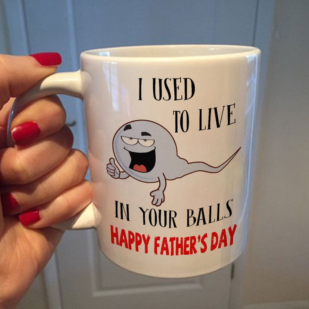 Father's Day Gift For Dad I Used To Live In Your Balls Mug