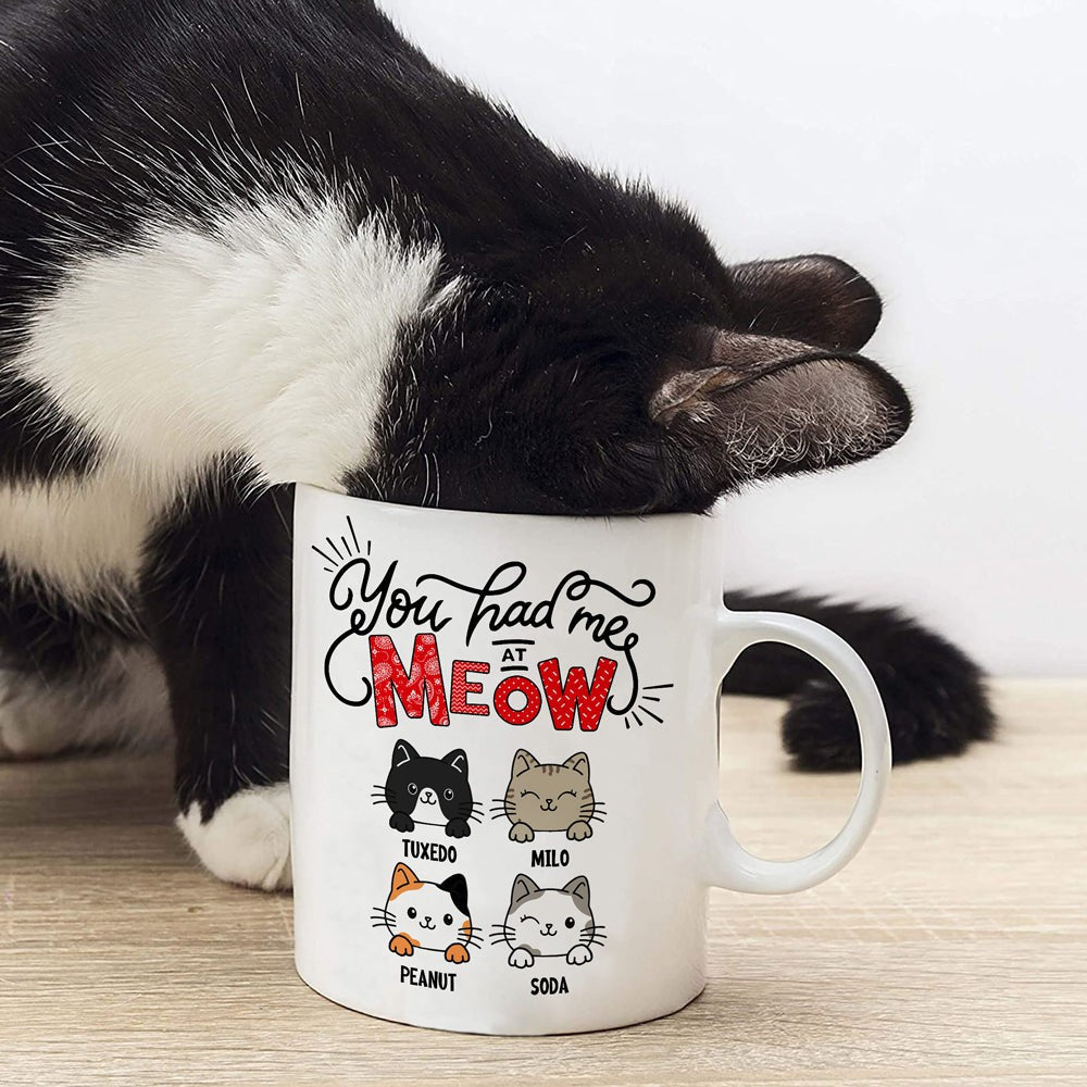 Personalized Gift For Cat Mom You Had Me At Meow Mug