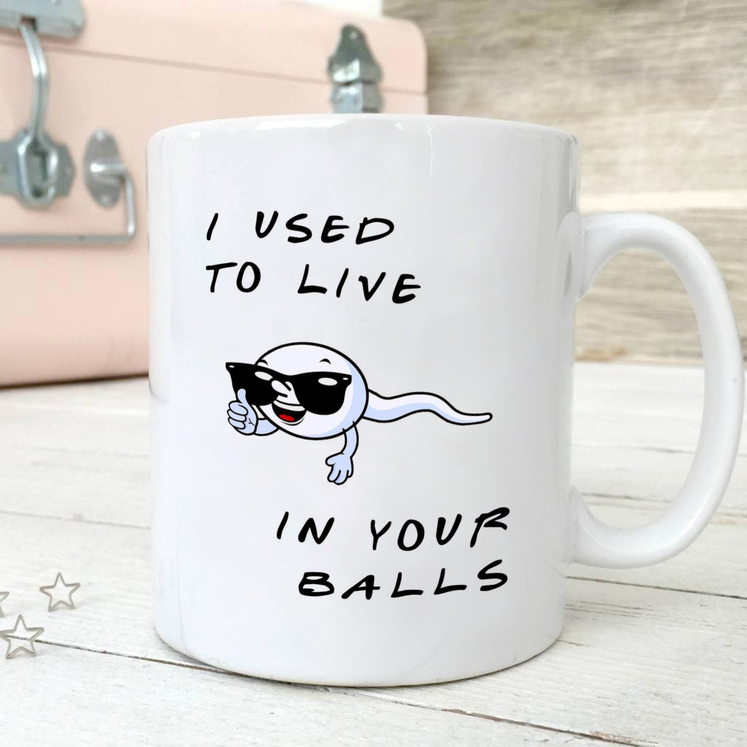 I Used To Live In Your Balls Mugs Gift For Dad