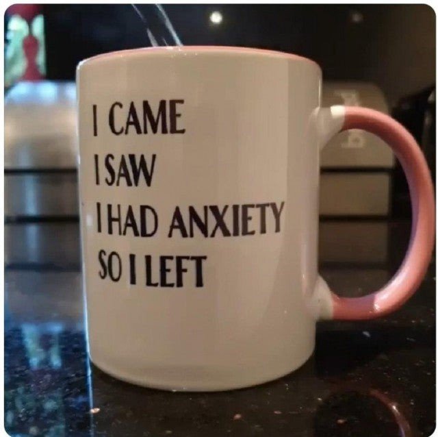 I Came I Saw I Had Anxiety So I Left Mug Christmas Gift