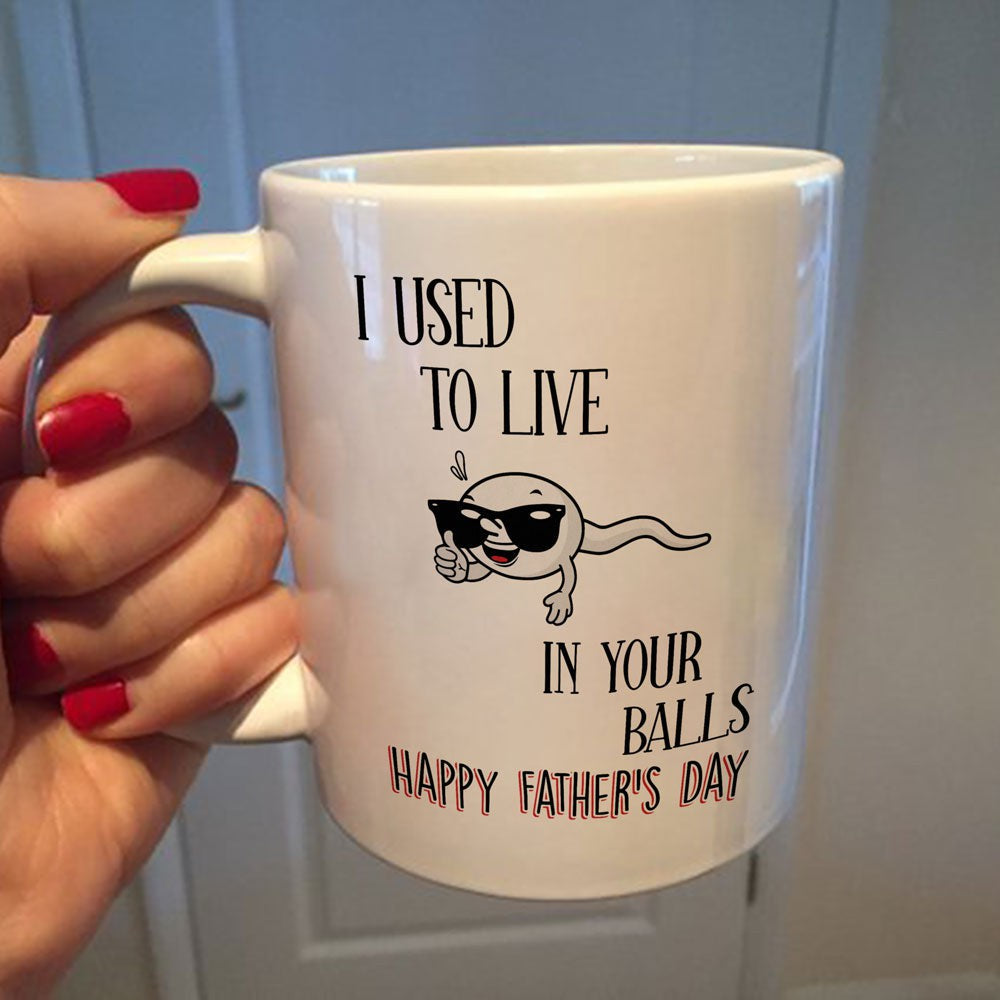 Father's Day Gift For Dad I Used To Live In Your Balls Mug