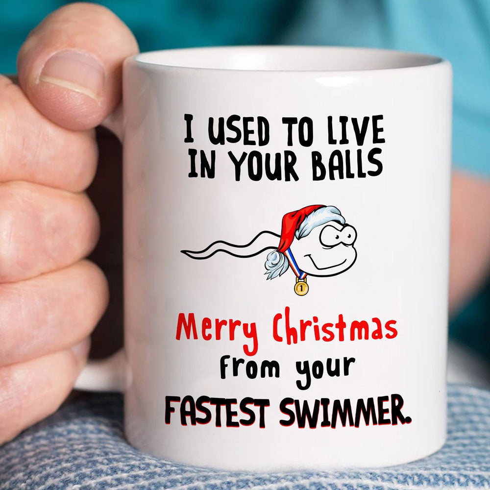 Gift For Dad I Used To Live In Your Balls Merry Christmas