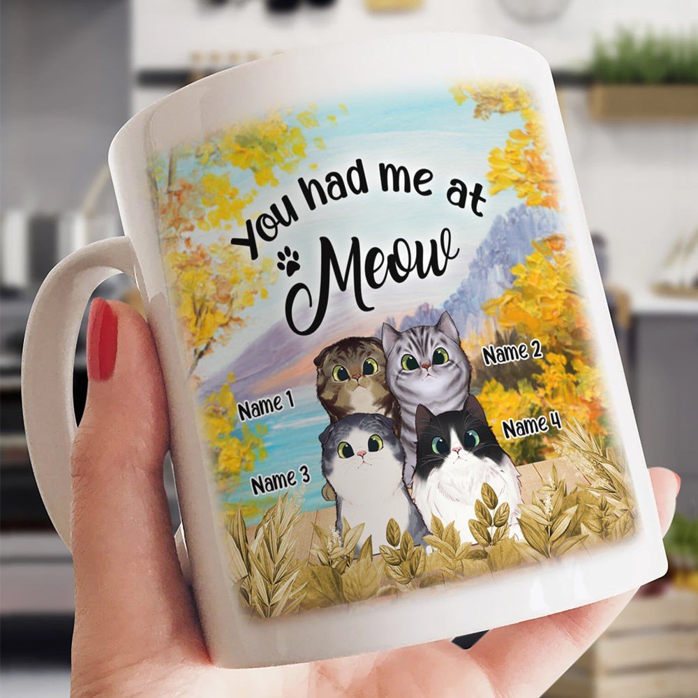 Personalized Gift For Cat Lover You Had Me At Meow Mug