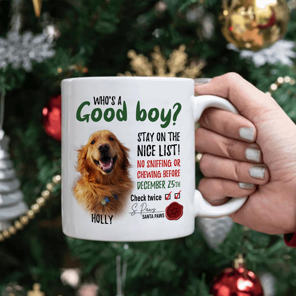 Funny Christmas Birthday For Pet Lover I Met You Mug Personalized Mug