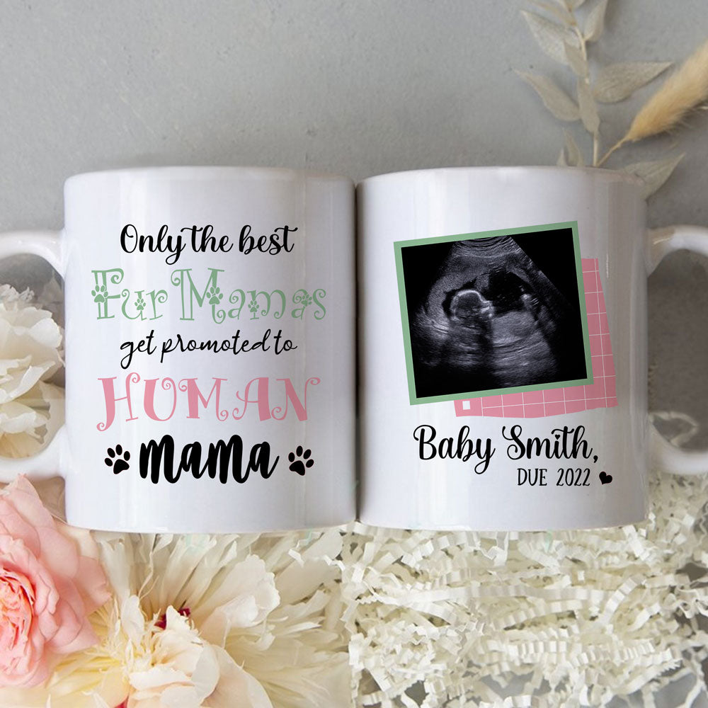 For New Mom The Best Fur Mama Promoted To Human Mama Personalized Mug